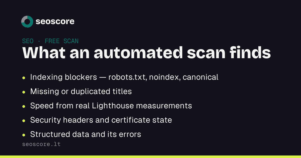 What an automated scan finds — Indexing blockers — robots.txt, noindex, canonical; Missing or duplicated titles; Speed from real Lighthouse measurements; Security headers and certificate state; Structured data and its errors.