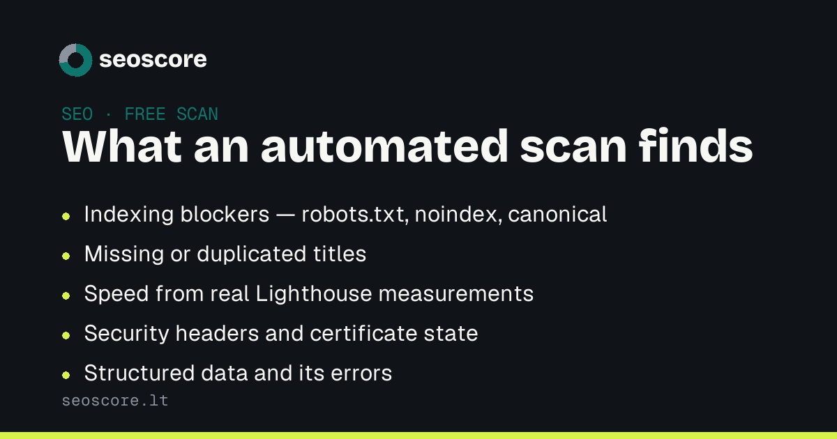 What an automated scan finds — Indexing blockers — robots.txt, noindex, canonical; Missing or duplicated titles; Speed from real Lighthouse measurements; Security headers and certificate state; Structured data and its errors.